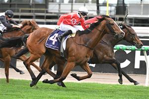 MELBOURNE, AUSTRALIA - SEPTEMBER 13: Celine Gaudray riding Cafe Millenium defeats Transaltlantic in Race 5, the Tontonan Stakes during Melbourne Racing at Flemington Racecourse on September 13, 2025 in Melbourne, Australia. (Photo by Vince Caligiuri/Getty Images)