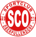 https://www.imageservera.com/cdn-cgi/image/format=webp/uploadedimages/202509/Sep17/l5ergphnke3r8k0.png