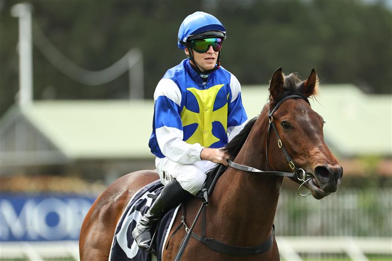 SYDNEY, AUSTRALIA - SEPTEMBER 27: Josh Parr riding Meridiana win Race 1 Midway during Sydney Racing at Rosehill Gardens on September 27, 2025 in Sydney, Australia. (Photo by Jeremy Ng/Getty Images)