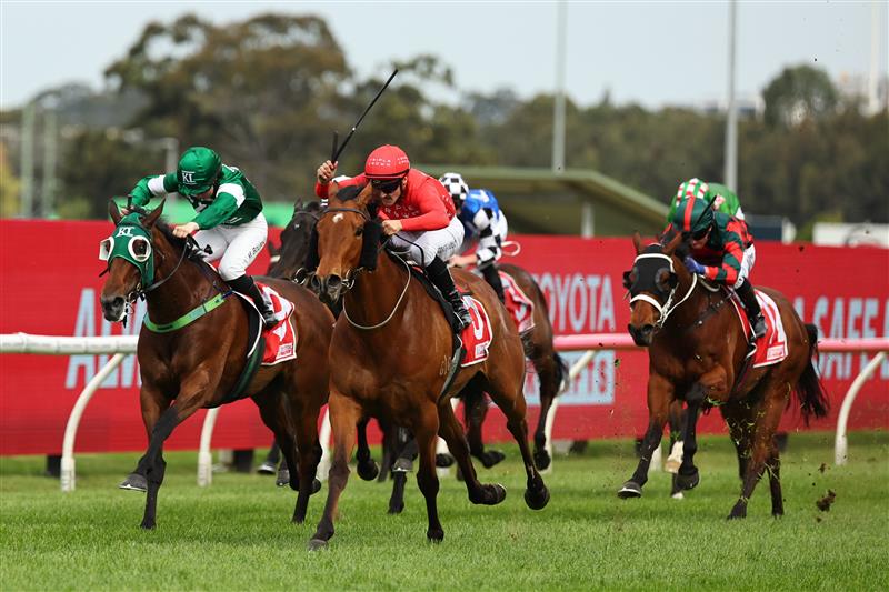 SYDNEY, AUSTRALIA - SEPTEMBER 27: Braith Nock riding Sir Artie win Race 5 Toyota Forklifts during Sydney Racing at Rosehill Gardens on September 27, 2025 in Sydney, Australia. (Photo by Jeremy Ng/Getty Images)