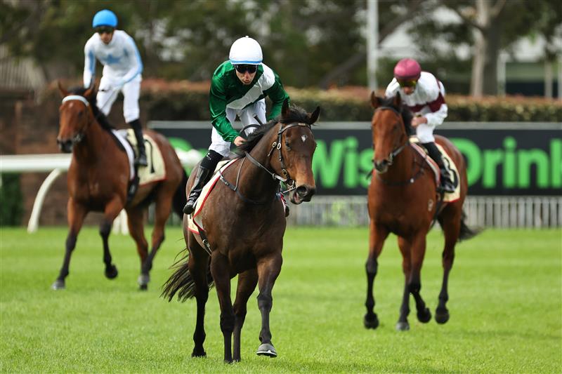 SYDNEY, AUSTRALIA - SEPTEMBER 27: Tommy Berry riding Marhoona  win Race 6 Petaluma Heritage Stakes during Sydney Racing at Rosehill Gardens on September 27, 2025 in Sydney, Australia. (Photo by Jeremy Ng/Getty Images)