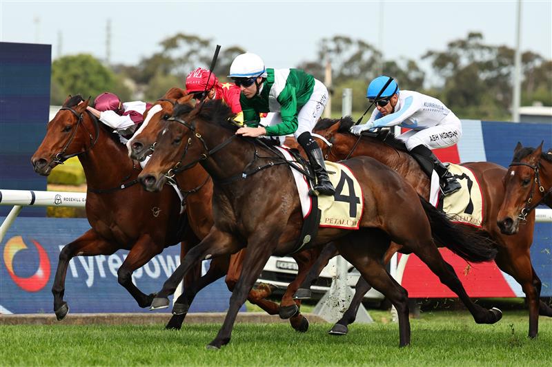 SYDNEY, AUSTRALIA - SEPTEMBER 27: Tommy Berry riding Marhoona  win Race 6 Petaluma Heritage Stakes during Sydney Racing at Rosehill Gardens on September 27, 2025 in Sydney, Australia. (Photo by Jeremy Ng/Getty Images)