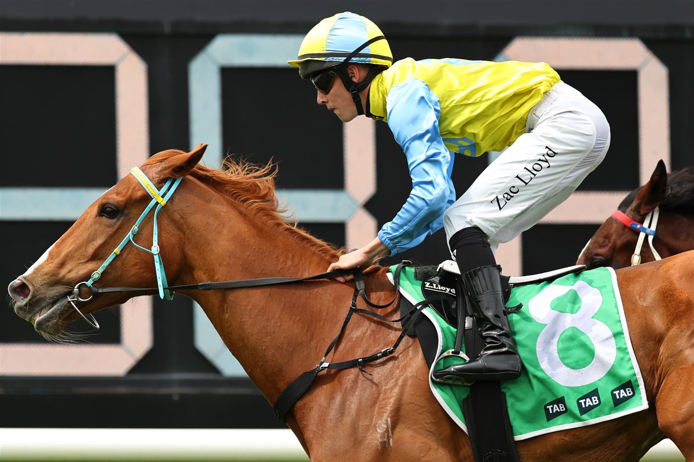 SYDNEY, AUSTRALIA - SEPTEMBER 27: Zac Lloyd riding  Poisen Point win Race 2 TAB Highway Handicap during Sydney Racing at Rosehill Gardens on September 27, 2025 in Sydney, Australia. (Photo by Jeremy Ng/Getty Images)