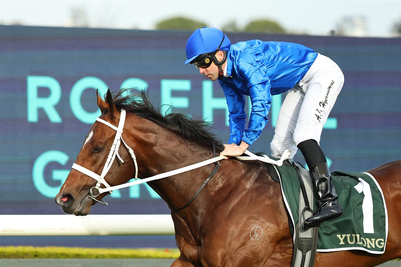 SYDNEY, AUSTRALIA - SEPTEMBER 27: Adam Hyeronimus
  riding Beiwacht win Race 8 Yulong Golden Rose during Sydney Racing at Rosehill Gardens on September 27, 2025 in Sydney, Australia. (Photo by Jeremy Ng/Getty Images)