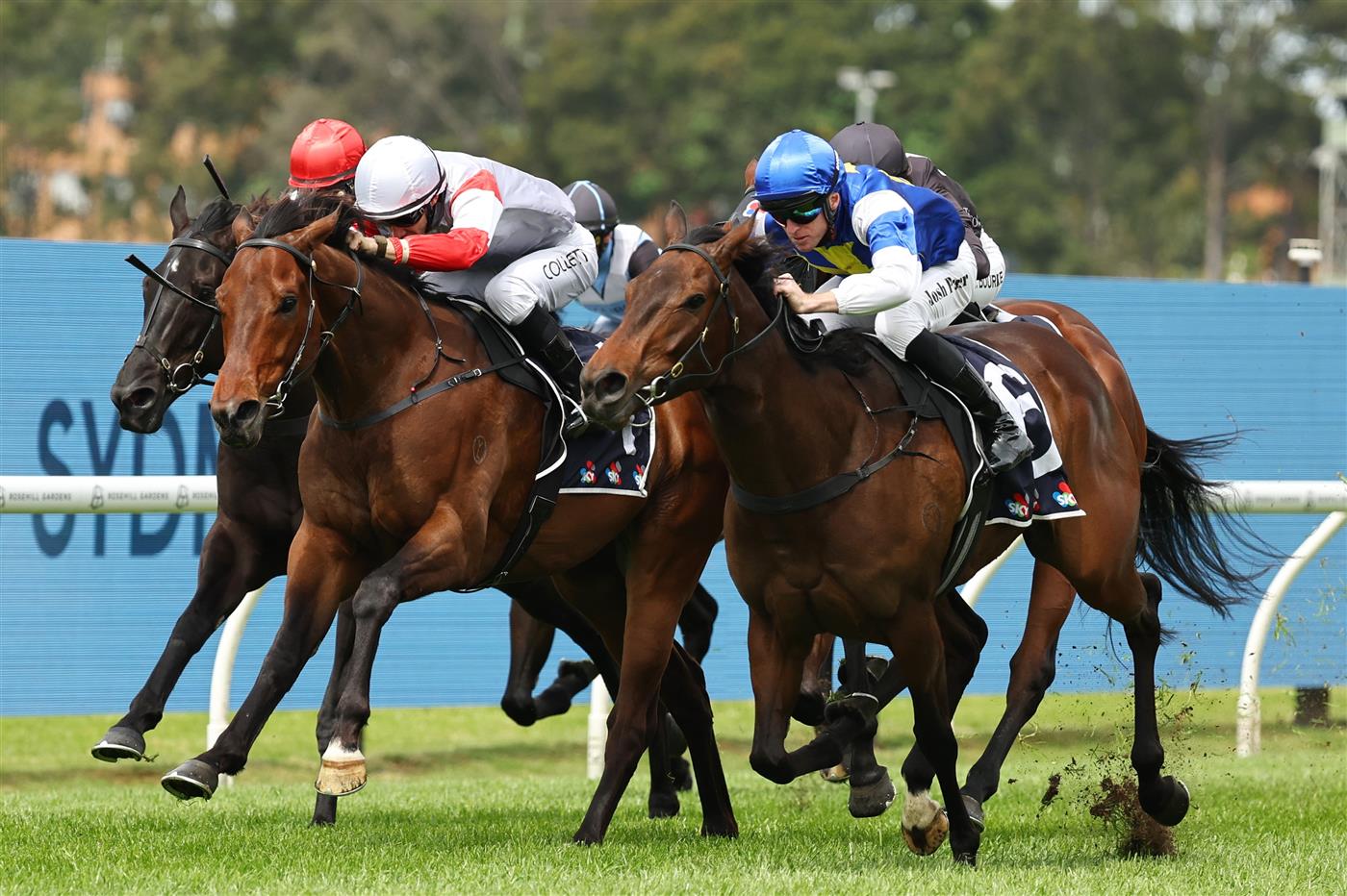 SYDNEY, AUSTRALIA - SEPTEMBER 27: Josh Parr riding Meridiana win Race 1 Midway during Sydney Racing at Rosehill Gardens on September 27, 2025 in Sydney, Australia. (Photo by Jeremy Ng/Getty Images)