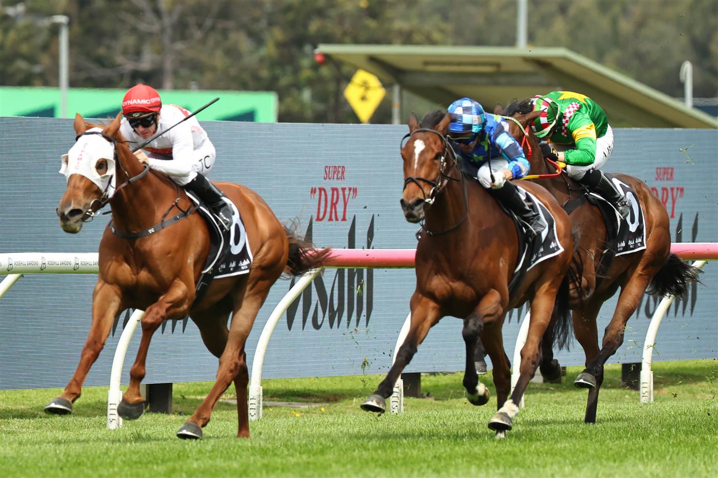 SYDNEY, AUSTRALIA - SEPTEMBER 27: Tim Clark riding Piggyback  win Race 3 Asahi Super Dry Colin Stephen Quality  during Sydney Racing at Rosehill Gardens on September 27, 2025 in Sydney, Australia. (Photo by Jeremy Ng/Getty Images)