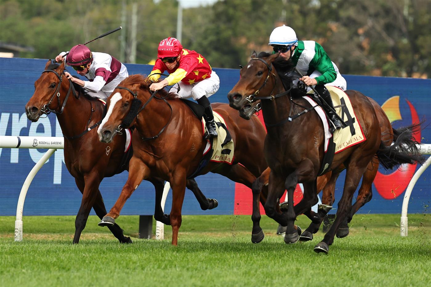 SYDNEY, AUSTRALIA - SEPTEMBER 27: Tommy Berry riding Marhoona  win Race 6 Petaluma Heritage Stakes during Sydney Racing at Rosehill Gardens on September 27, 2025 in Sydney, Australia. (Photo by Jeremy Ng/Getty Images)
