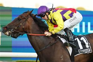 SYDNEY, AUSTRALIA - SEPTEMBER 27: Jason Collett riding Monte Supreme win Race 10 E Security Group during Sydney Racing at Rosehill Gardens on September 27, 2025 in Sydney, Australia. (Photo by Jeremy Ng/Getty Images)
