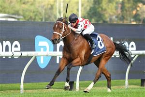 SYDNEY, AUSTRALIA - SEPTEMBER 27: James McDonald riding Waterford  win Race 9 Canadian Club Shannon Stakes during Sydney Racing at Rosehill Gardens on September 27, 2025 in Sydney, Australia. (Photo by Jeremy Ng/Getty Images)