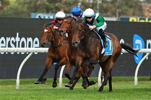 SYDNEY, AUSTRALIA - SEPTEMBER 27: Tommy Berry
 riding Manaal win Race 7 Racing And Sports Golden Pendant during Sydney Racing at Rosehill Gardens on September 27, 2025 in Sydney, Australia. (Photo by Jeremy Ng/Getty Images)