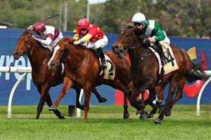 SYDNEY, AUSTRALIA - SEPTEMBER 27: Tommy Berry riding Marhoona  win Race 6 Petaluma Heritage Stakes during Sydney Racing at Rosehill Gardens on September 27, 2025 in Sydney, Australia. (Photo by Jeremy Ng/Getty Images)