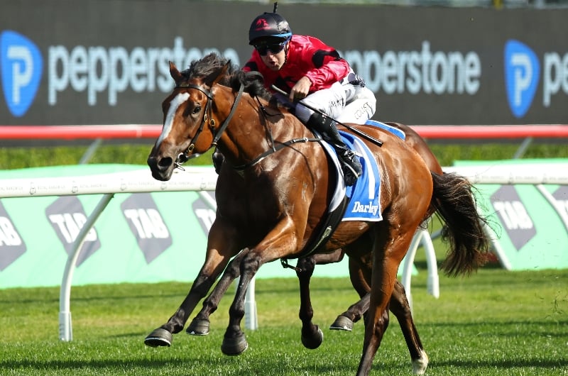 Flight Stakes update Flight Stakes update
