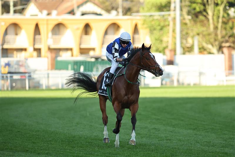 SYDNEY, AUSTRALIA - OCTOBER 04: Robbie Dolan riding Royal Supremacy win Race 9 Asahi Super Dry Metropolitan during Sydney Racing at Royal Randwick Racecourse on October 04, 2025 in Sydney, Australia. (Photo by Jeremy Ng/Getty Images)