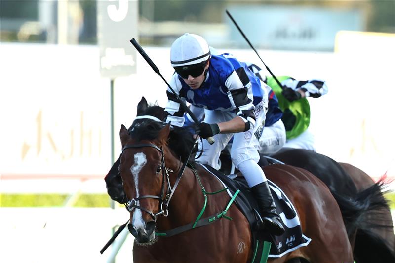 SYDNEY, AUSTRALIA - OCTOBER 04: Robbie Dolan riding Royal Supremacy win Race 9 Asahi Super Dry Metropolitan during Sydney Racing at Royal Randwick Racecourse on October 04, 2025 in Sydney, Australia. (Photo by Jeremy Ng/Getty Images)