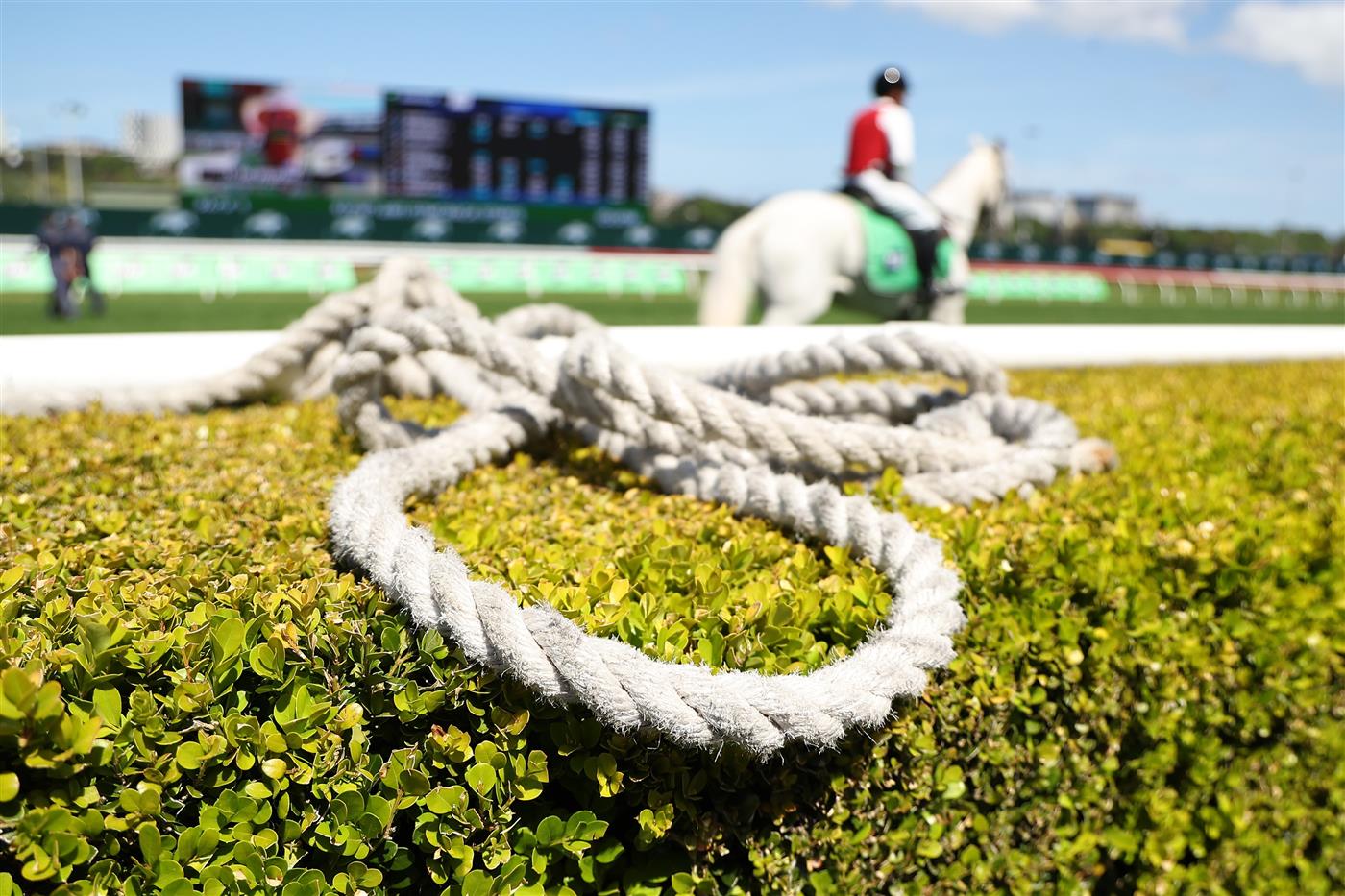 SYDNEY, AUSTRALIA - OCTOBER 04: A general view during Sydney Racing at Royal Randwick Racecourse on October 04, 2025 in Sydney, Australia. (Photo by Jeremy Ng/Getty Images)