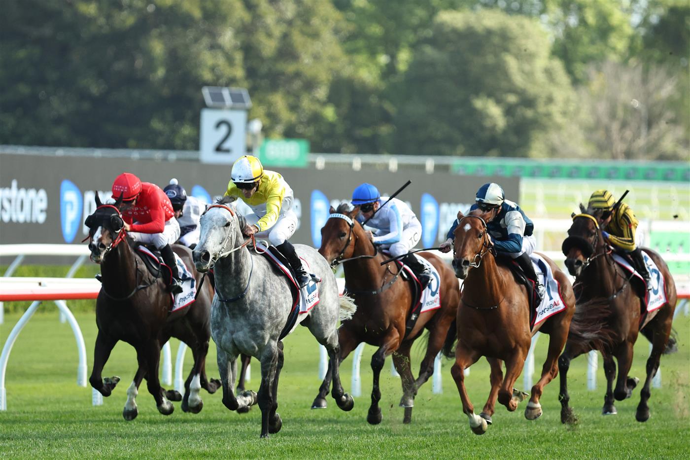 SYDNEY, AUSTRALIA - OCTOBER 04: Tyler Schiller riding Briasa 
 win Race 7 Precise Air Premiere Stakes during Sydney Racing at Royal Randwick Racecourse on October 04, 2025 in Sydney, Australia. (Photo by Jeremy Ng/Getty Images)