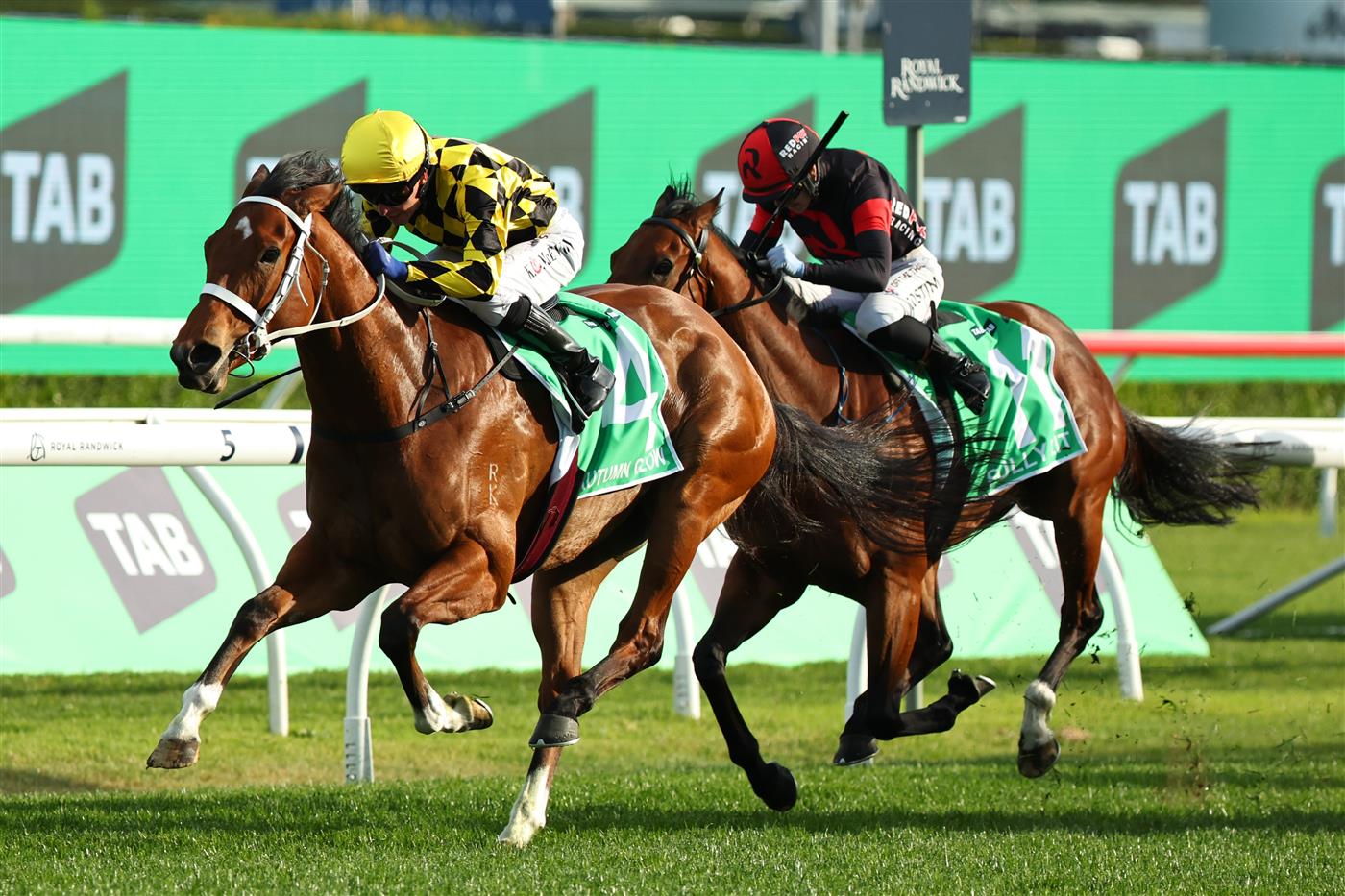 SYDNEY, AUSTRALIA - OCTOBER 04: Kerrin McEvoy riding Autumn Glow win Race 8 TAB Epsom Handicap  during Sydney Racing at Royal Randwick Racecourse on October 04, 2025 in Sydney, Australia. (Photo by Jeremy Ng/Getty Images)