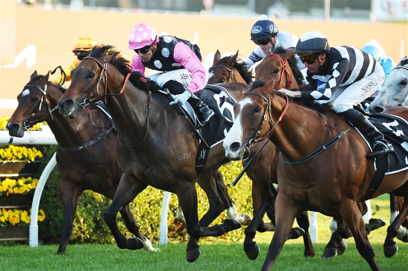 SYDNEY, AUSTRALIA - OCTOBER 04: Nash Rawiller riding Disneck win Race 10 KIA Brisbane Broncos Sprint during Sydney Racing at Royal Randwick Racecourse on October 04, 2025 in Sydney, Australia. (Photo by Jeremy Ng/Getty Images)