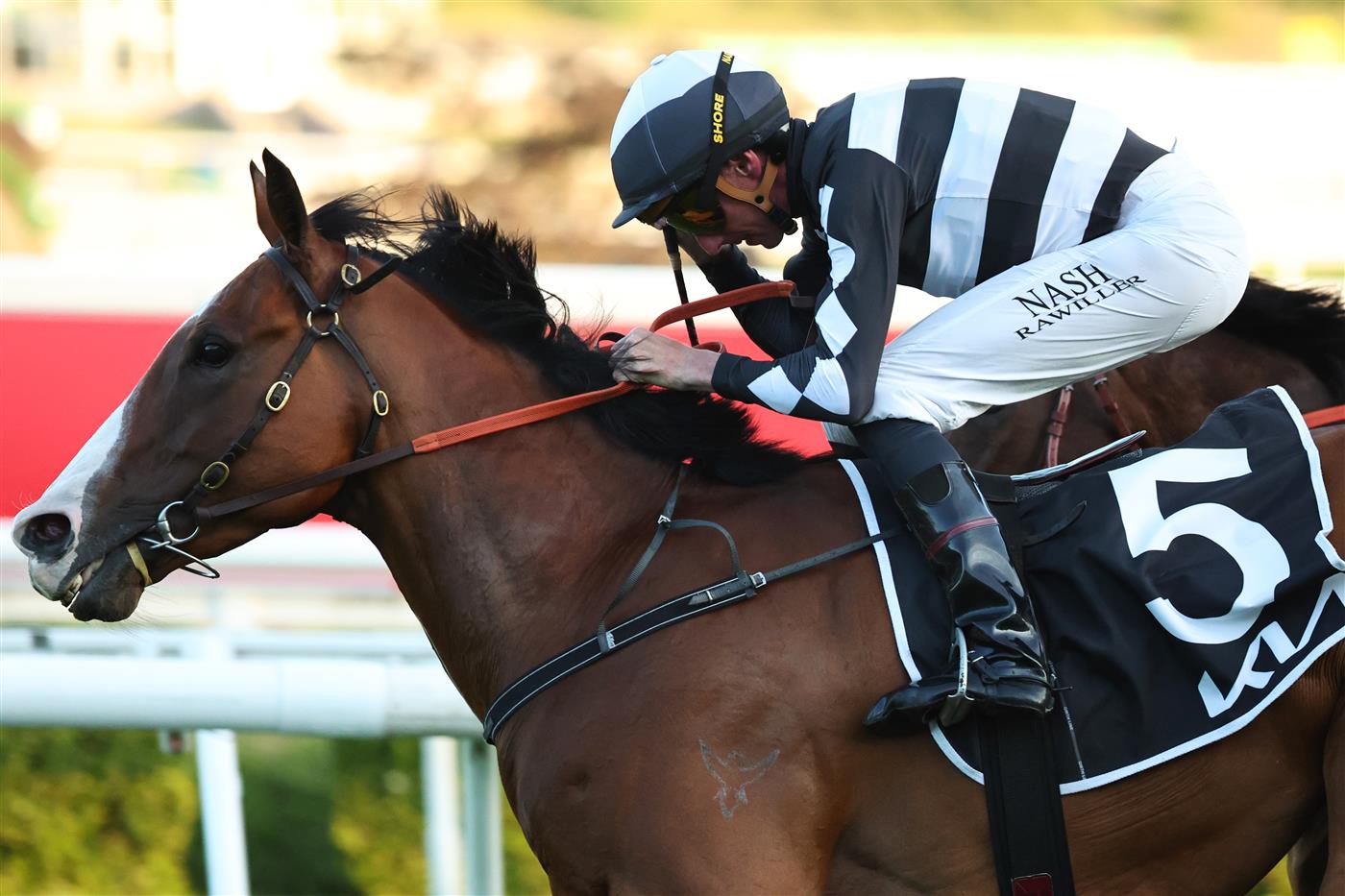 SYDNEY, AUSTRALIA - OCTOBER 04: Nash Rawiller riding Disneck win Race 10 KIA Brisbane Broncos Sprint during Sydney Racing at Royal Randwick Racecourse on October 04, 2025 in Sydney, Australia. (Photo by Jeremy Ng/Getty Images)