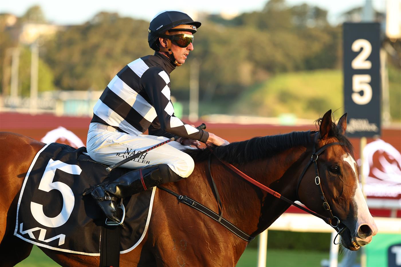 SYDNEY, AUSTRALIA - OCTOBER 04: Nash Rawiller riding Disneck win Race 10 KIA Brisbane Broncos Sprint during Sydney Racing at Royal Randwick Racecourse on October 04, 2025 in Sydney, Australia. (Photo by Jeremy Ng/Getty Images)