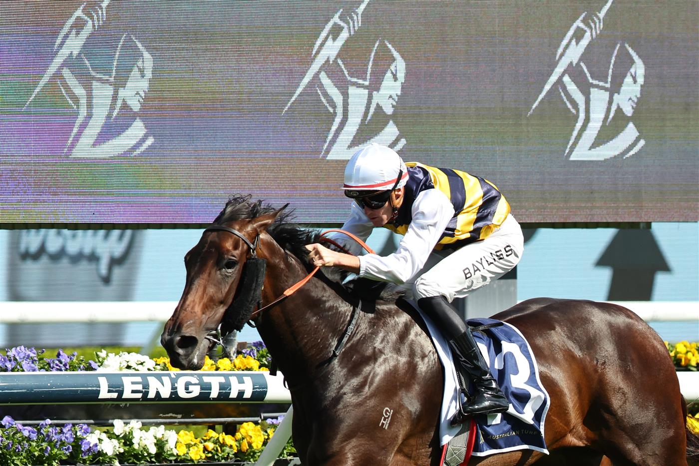 SYDNEY, AUSTRALIA - OCTOBER 04: Regan Bayliss riding Perfumist win Race 5 Melbourne Storm Mile during Sydney Racing at Royal Randwick Racecourse on October 04, 2025 in Sydney, Australia. (Photo by Jeremy Ng/Getty Images)
