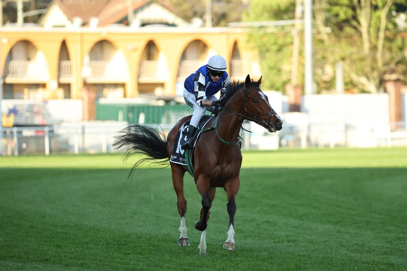 SYDNEY, AUSTRALIA - OCTOBER 04: Robbie Dolan riding Royal Supremacy win Race 9 Asahi Super Dry Metropolitan during Sydney Racing at Royal Randwick Racecourse on October 04, 2025 in Sydney, Australia. (Photo by Jeremy Ng/Getty Images)