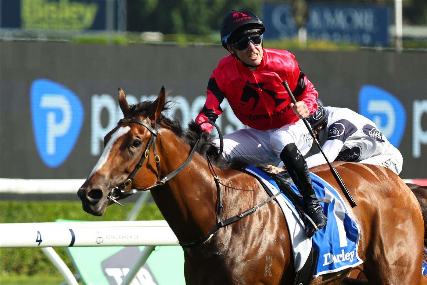 SYDNEY, AUSTRALIA - OCTOBER 04: Tommy Berry riding Apocalyptic  win Race 6 Darley Flight Stakes during Sydney Racing at Royal Randwick Racecourse on October 04, 2025 in Sydney, Australia. (Photo by Jeremy Ng/Getty Images)