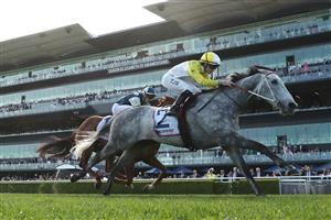 SYDNEY, AUSTRALIA - OCTOBER 04: Tyler Schiller riding Briasa 
 win Race 7 Precise Air Premiere Stakes during Sydney Racing at Royal Randwick Racecourse on October 04, 2025 in Sydney, Australia. (Photo by Jeremy Ng/Getty Images)