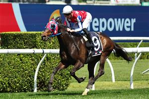 SYDNEY, AUSTRALIA - OCTOBER 04: Chad Schofield riding Agita 
 win Race 1 Midway during Sydney Racing at Royal Randwick Racecourse on October 04, 2025 in Sydney, Australia. (Photo by Jeremy Ng/Getty Images)