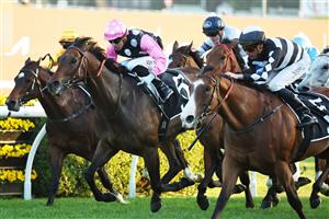 SYDNEY, AUSTRALIA - OCTOBER 04: Nash Rawiller riding Disneck win Race 10 KIA Brisbane Broncos Sprint during Sydney Racing at Royal Randwick Racecourse on October 04, 2025 in Sydney, Australia. (Photo by Jeremy Ng/Getty Images)