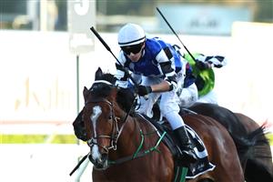 SYDNEY, AUSTRALIA - OCTOBER 04: Robbie Dolan riding Royal Supremacy win Race 9 Asahi Super Dry Metropolitan during Sydney Racing at Royal Randwick Racecourse on October 04, 2025 in Sydney, Australia. (Photo by Jeremy Ng/Getty Images)