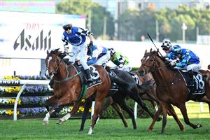 SYDNEY, AUSTRALIA - OCTOBER 04: Robbie Dolan riding Royal Supremacy win Race 9 Asahi Super Dry Metropolitan during Sydney Racing at Royal Randwick Racecourse on October 04, 2025 in Sydney, Australia. (Photo by Jeremy Ng/Getty Images)