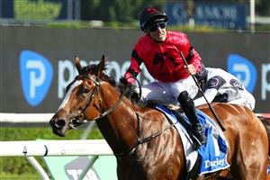 SYDNEY, AUSTRALIA - OCTOBER 04: Tommy Berry riding Apocalyptic  win Race 6 Darley Flight Stakes during Sydney Racing at Royal Randwick Racecourse on October 04, 2025 in Sydney, Australia. (Photo by Jeremy Ng/Getty Images)