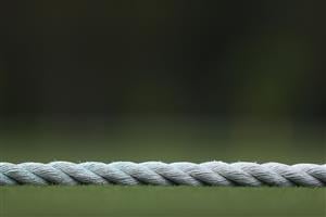 Watch cricket online (Getty Images)