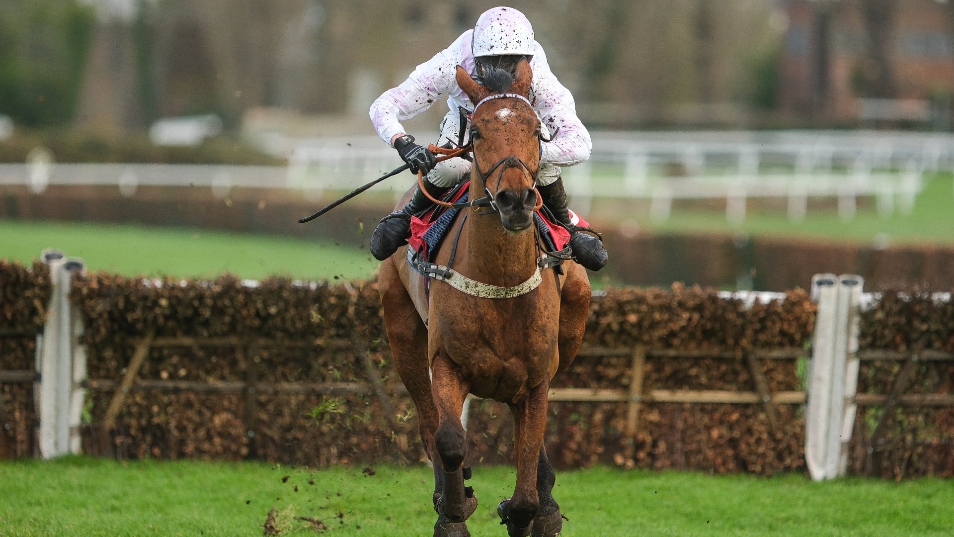 20 Horses To Follow for the 2025/26 Jumps Season - Part 1 (1 - 10)