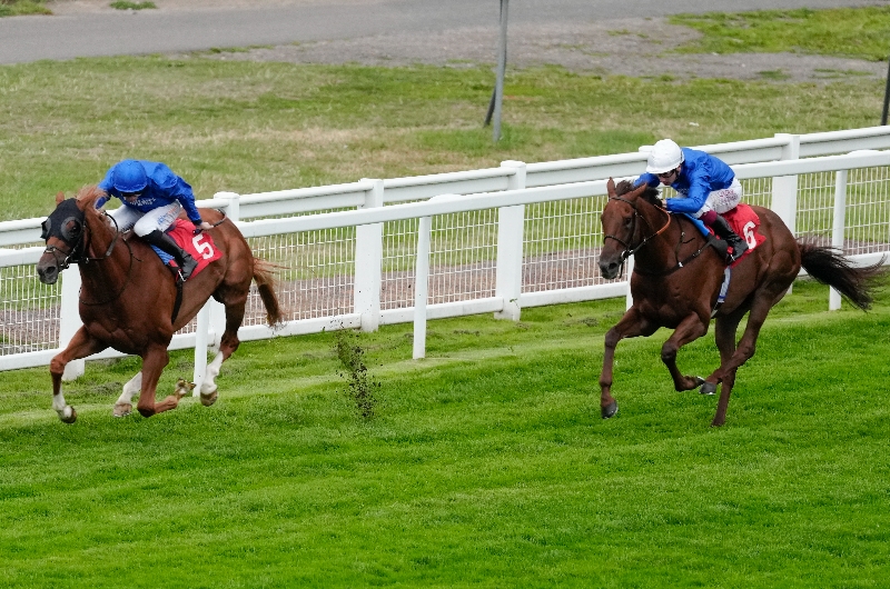 dangerman sandown