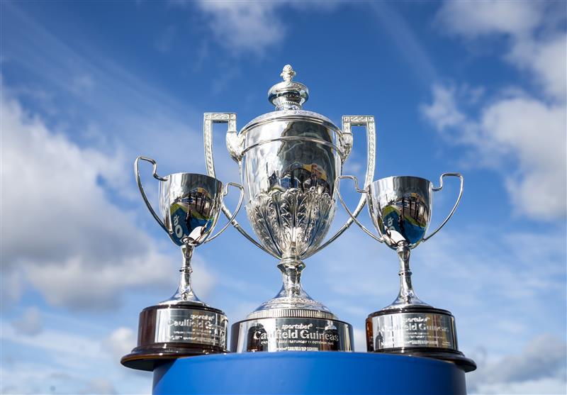 MELBOURNE, AUSTRALIA - OCTOBER 11: The trophies are seen ahead of Caulfield Guineas day during Melbourne Racing at Caulfield Racecourse on October 11, 2025 in Melbourne, Australia. (Photo by Vince Caligiuri/Getty Images)
