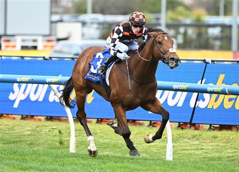 MELBOURNE, AUSTRALIA - OCTOBER 11: Ben Allen riding Zou Sensation winning Race 5, the The Big Screen Company Weekend Hussler during Melbourne Racing at Caulfield Racecourse on October 11, 2025 in Melbourne, Australia. (Photo by Vince Caligiuri/Getty Images)