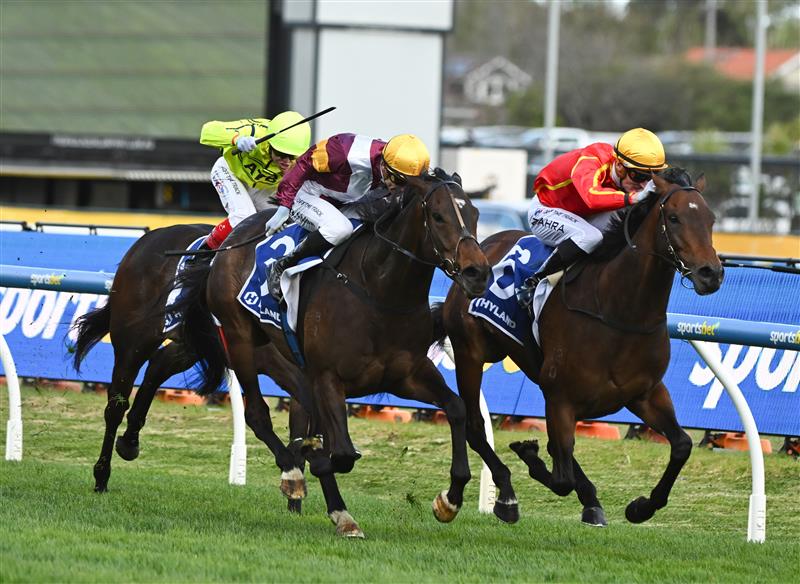 MELBOURNE, AUSTRALIA - OCTOBER 11: Mark Zahra riding Transatlantic defeats Blake Shinn riding Evaporate in Race 7, the Hyland Race Colours Toorak Handicap during Melbourne Racing at Caulfield Racecourse on October 11, 2025 in Melbourne, Australia. (Photo by Vince Caligiuri/Getty Images)