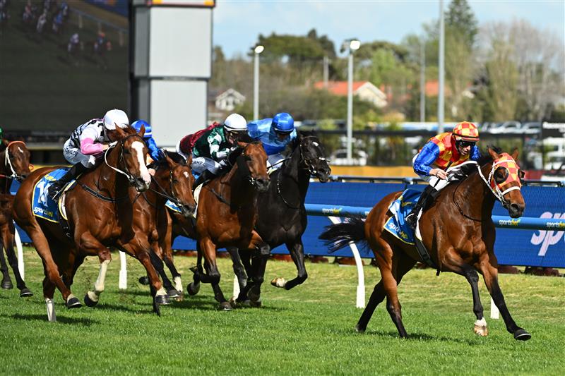 MELBOURNE, AUSTRALIA - OCTOBER 11: Damian Lane riding Autumn Boy defeats Planet Red in Race 8, the Sportsbet Caulfield Guineas during Melbourne Racing at Caulfield Racecourse on October 11, 2025 in Melbourne, Australia. (Photo by Vince Caligiuri/Getty Images)