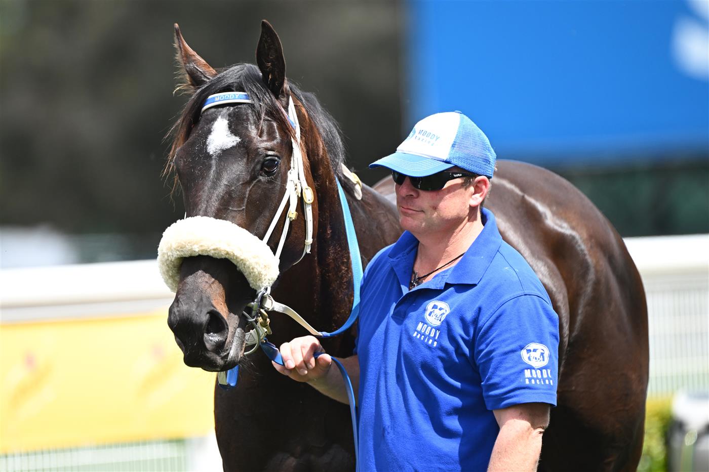 MELBOURNE, AUSTRALIA - OCTOBER 11: Blindedbythelight after winning Race 1, the Sen Handicap during Melbourne Racing at Caulfield Racecourse on October 11, 2025 in Melbourne, Australia. (Photo by Vince Caligiuri/Getty Images)