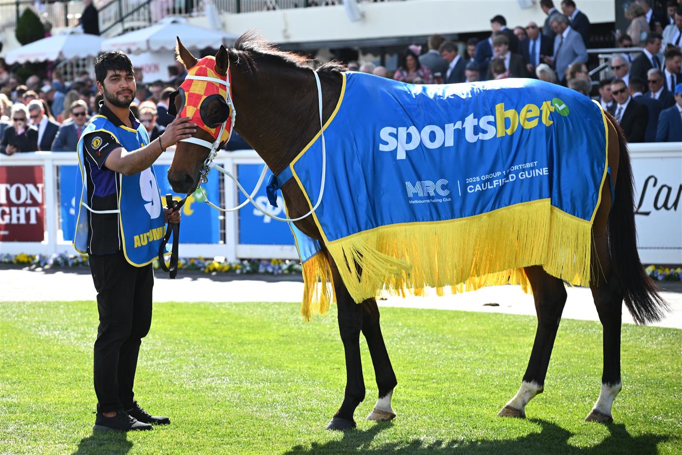 MELBOURNE, AUSTRALIA - OCTOBER 11: Autumn Boy after winning Race 8, the Sportsbet Caulfield Guineas during Melbourne Racing at Caulfield Racecourse on October 11, 2025 in Melbourne, Australia. (Photo by Vince Caligiuri/Getty Images)
