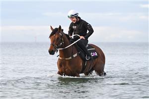 MELBOURNE, AUSTRALIA - OCTOBER 12: Lizzie Collett riding  Autumn Boy, winner of yesterdays Caulfield Guineas during a beach session at Altona Beach on October 12, 2025 in Melbourne, Australia. (Photo by Vince Caligiuri/Getty Images)
