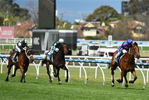 MELBOURNE, AUSTRALIA - OCTOBER 11: Blake Shinn riding Globe defeats Treasurethe Moment and Buckaroo in Race 6, the Sportsbet Might And Power during Melbourne Racing at Caulfield Racecourse on October 11, 2025 in Melbourne, Australia. (Photo by Vince Caligiuri/Getty Images)