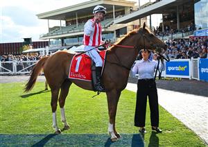MELBOURNE, AUSTRALIA - OCTOBER 11: Mark Zahra riding Giga Kick after winning Race 9, the Henley Homes Schillaci Stakes during Melbourne Racing at Caulfield Racecourse on October 11, 2025 in Melbourne, Australia. (Photo by Vince Caligiuri/Getty Images)