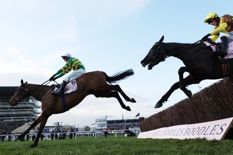 galopin des champs