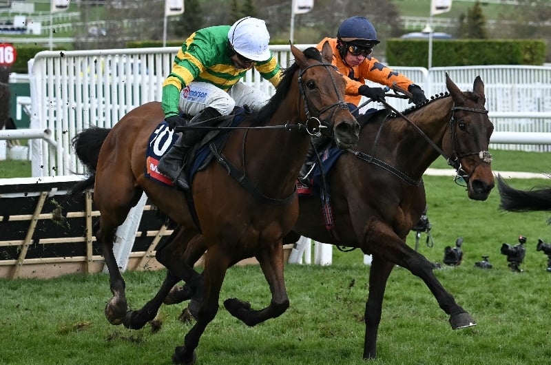 the new lion hurdle