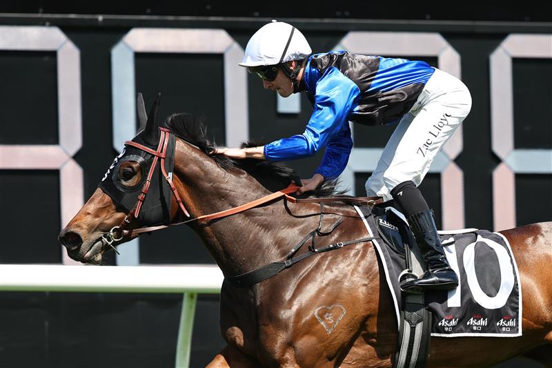 SYDNEY, AUSTRALIA - OCTOBER 18: Zac Lloyd riding  Idle Flyer win Race 4 Asahi Super Dry Angst Stakes during Sydney Racing at Royal Randwick Racecourse on October 18, 2025 in Sydney, Australia. (Photo by Jeremy Ng/Getty Images)