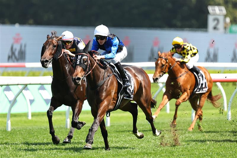 SYDNEY, AUSTRALIA - OCTOBER 18: Zac Lloyd riding  Idle Flyer win Race 4 Asahi Super Dry Angst Stakes during Sydney Racing at Royal Randwick Racecourse on October 18, 2025 in Sydney, Australia. (Photo by Jeremy Ng/Getty Images)