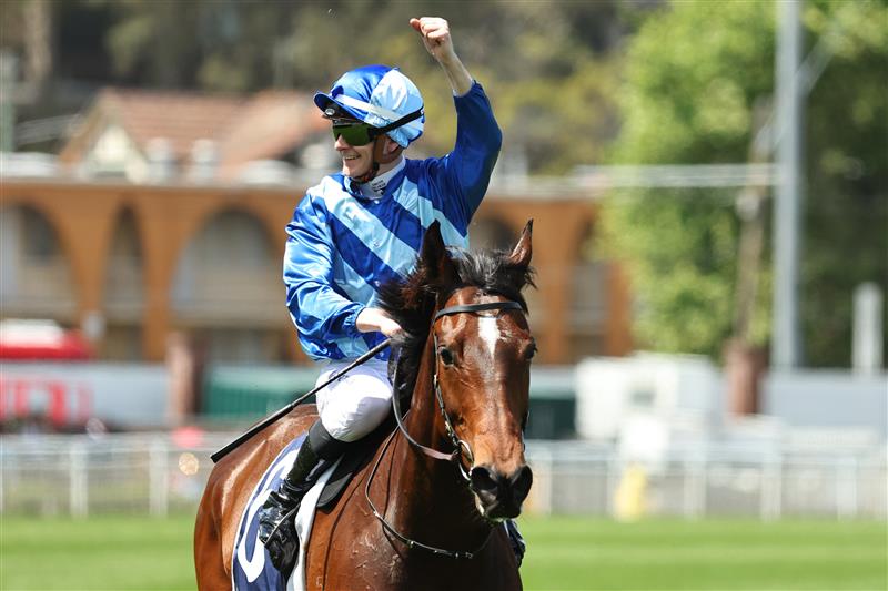 SYDNEY, AUSTRALIA - OCTOBER 18: Ethan Brown riding Vivy Air win Race 3 Big Dance Wild Card Handicap during Sydney Racing at Royal Randwick Racecourse on October 18, 2025 in Sydney, Australia. (Photo by Jeremy Ng/Getty Images)